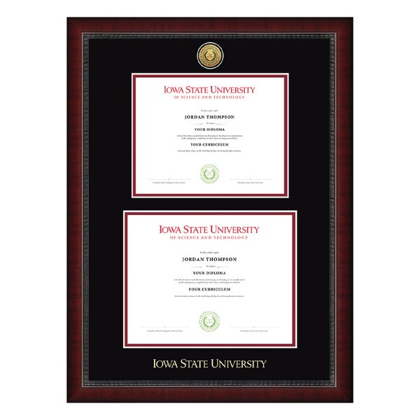 Church Hill Classics Sutton Gold Medallion Bachelor's and Master's Degree Diploma Frame #14